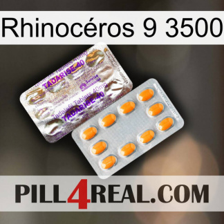 Rhinocéros 9 3500 new12
